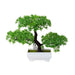 Artificial Bonsai Plants - ShopSwiftly