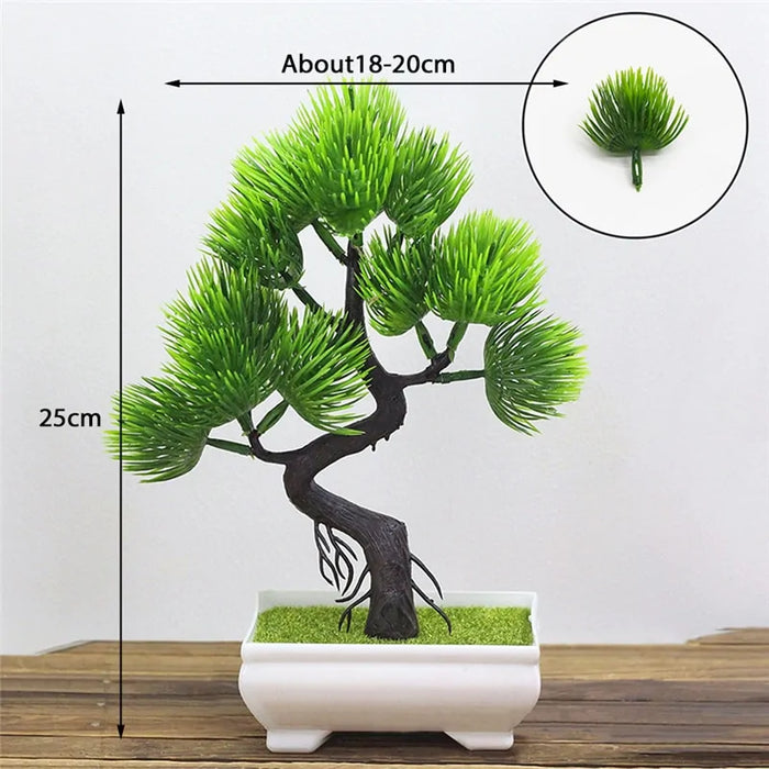 Bonsai Plants