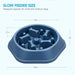 Slow Feeder Bone Design Pet Bowl - ShopSwiftly