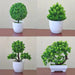 Small Bonsai Tree - ShopSwiftly