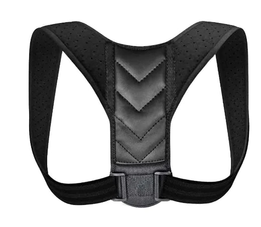 Back Support Belt