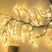 Willow Vine Branch Light Wall Decor - ShopSwiftly