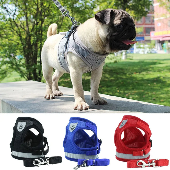 Secure Reflective Harness Set For Small Pets