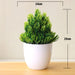 Artificial Bonsai Plants - ShopSwiftly