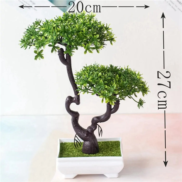 Bonsai Plants