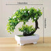 Small Bonsai Tree - ShopSwiftly