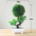 Artificial Bonsai Plants - ShopSwiftly