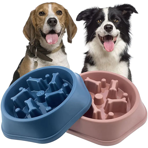 Slow Feeder Bone Design Pet Bowl - ShopSwiftly