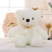 LED Teddy Bear - ShopSwiftly