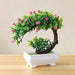 Small Bonsai Tree - ShopSwiftly