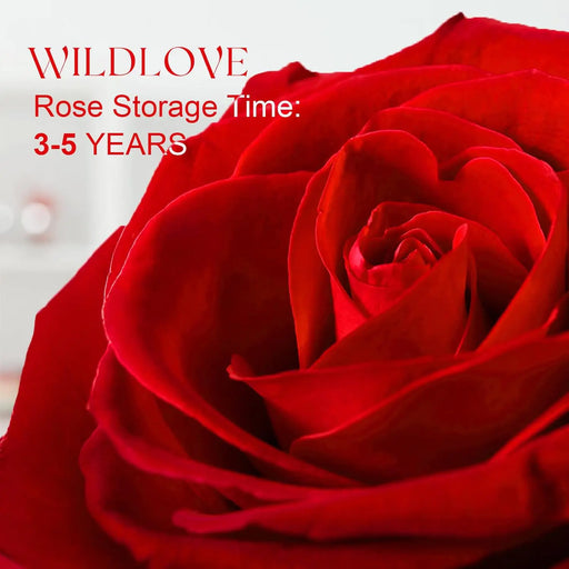 WILDLOVE Preserved Real Rose with I Love You Necklace, Christmas Gifts for Women, Mom, Grandma, Wife and Girlfriend, Birthday Anniversary Valentine's Day Mother's Day Gift Ideas for Her - ShopSwiftly