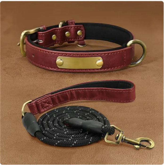 Personalized Engraved Dog Collar – Anti-Loss Design