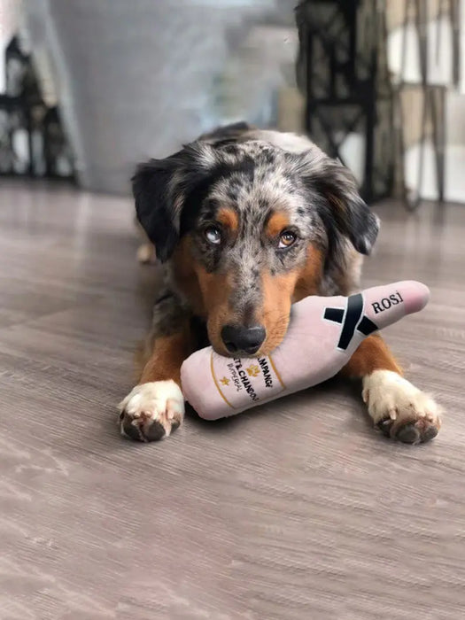 Whiskey Beer Dog Toy - ShopSwiftly