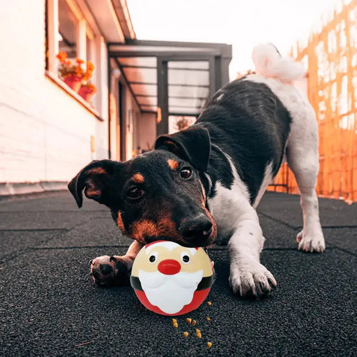 Dog Chew Food Leak Ball Toy Santa / Snow Man