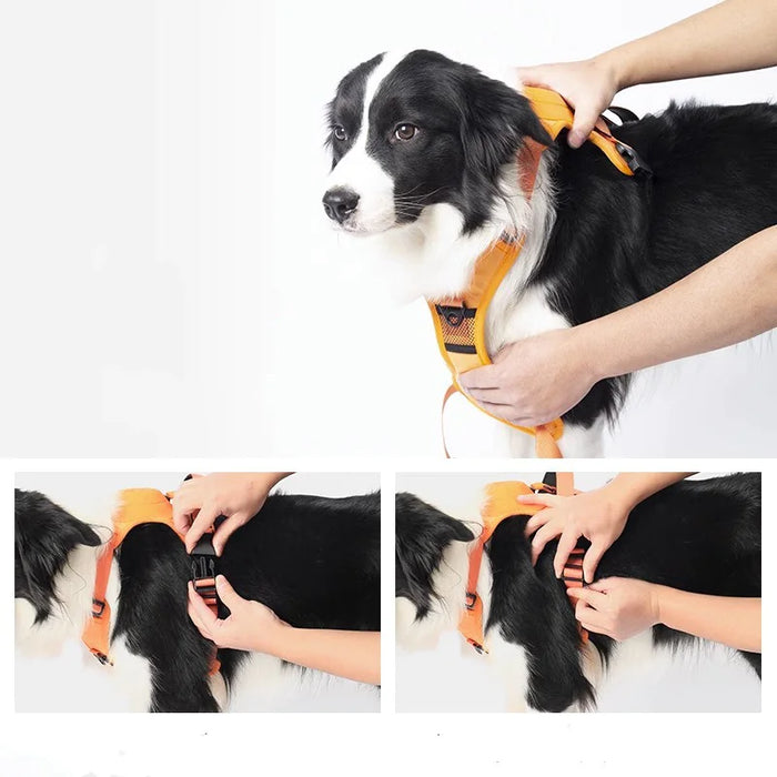 Breathable Adjustable Pets Harness Vest