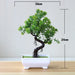 Artificial Bonsai Plants - ShopSwiftly