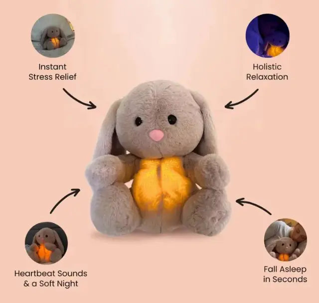 Rabbit Sensory Plush Toy